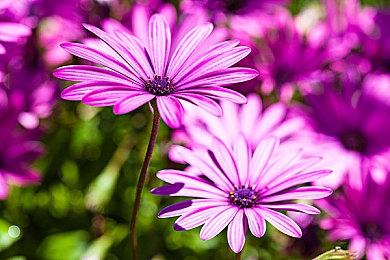 PC对比PS5《漫威蜘蛛侠：重制版》这特效超越原版