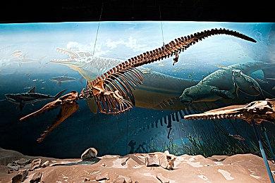 《堡垒之夜》联动《街头霸王》第二弹 嘉米和古烈登场