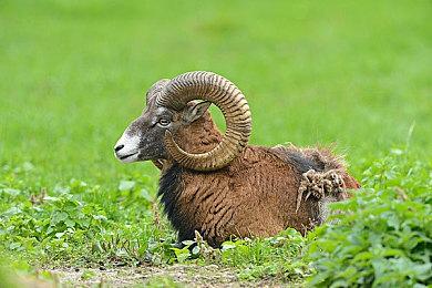 《战地 2042》将于2024年3月推出第7赛季